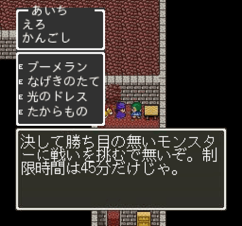 dq2-(2)